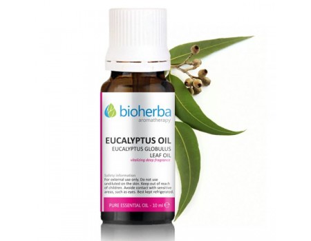 Essential Oils of Eucalyptus 10 ml.